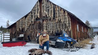 PSA Wolf quotas have been requested to be reduced in Montana.