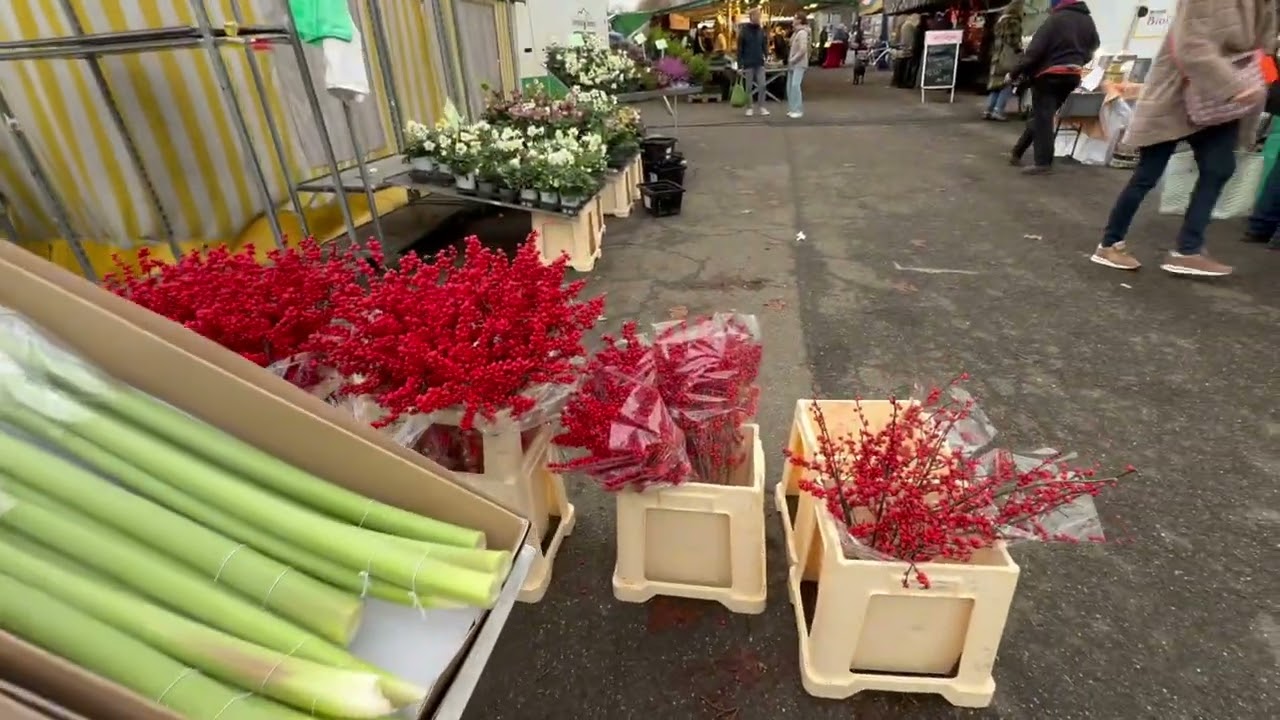 科隆  Weiden 小市集