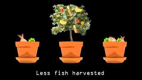 Matt Ridley - The Rational Optimist- Intensive Farming.mp4