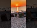 #lapergolasylt #viral #viralvideo #explore #viralshorts #summer