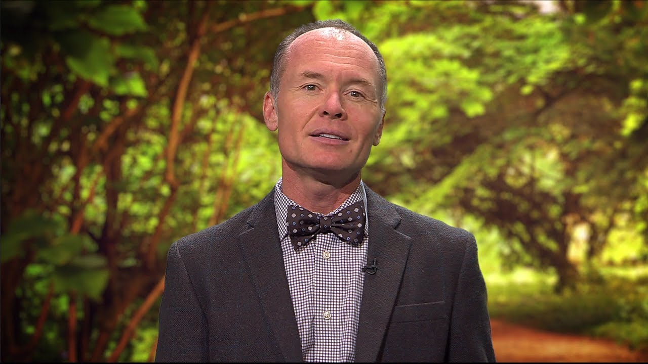 The Walk - “Come to their Rescue” – 073 - YouTube