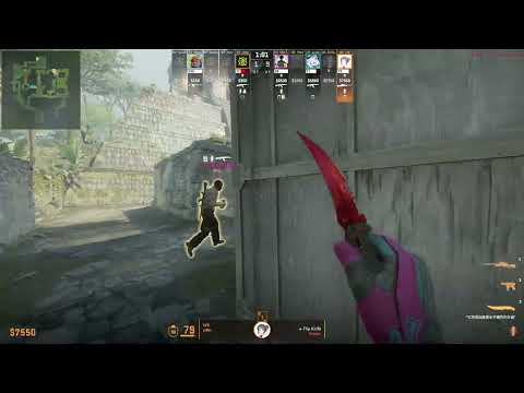 z4KR POV against Ninjas in Pyjamas on Ancient