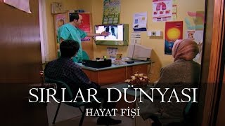 Sırlar Dünyası - Hayat Fi̇şi̇