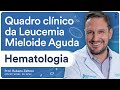 Como é o quadro clínico da Leucemia Mieloide Aguda