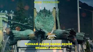 TURNAM BAŞIM DARDA BENİM MEHMET GÜMÜŞ Resimi