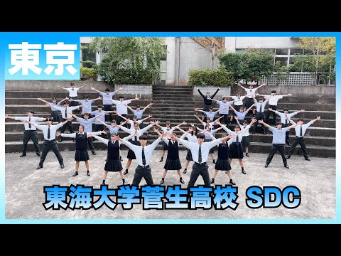 22-200 Novelbright「開幕宣言」東京：東海大学菅生高校 SDC【ダンスONEプロジェクト'22】