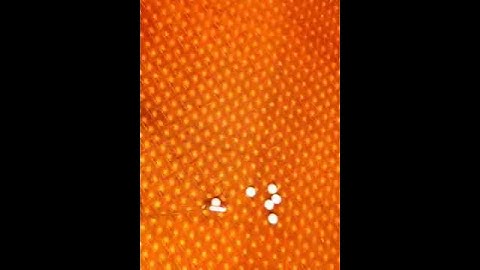 Righty Putting 3 Ways With DynAlign + Vintage Cash-In Putter