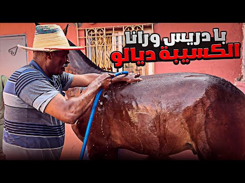 اليوم انشوفو الكسيبة ديال بادريس جدوعة والعودة البركية واش بادريس عندو المليح ولا لا