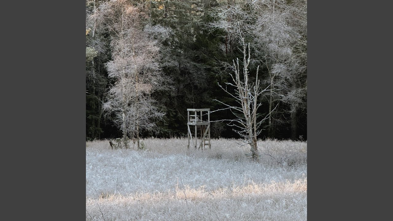 Watch frozen moss on YouTube Watch frozen moss on YouTube