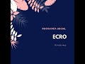 ECRO / E. C. R. O. /Esquema Conceptual Referencial Operativo. Psicología Social. 1er Año. Parte 1