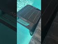 Skimmers will change your life #creatorsearchinsights #pool #summervibes #pool