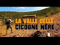 Campana CS - La Valle delle Cicogne Nere (Sila Greca) - documentario - Storia