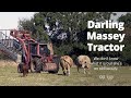 Our Perfect Little Massey Tractor | British Farming