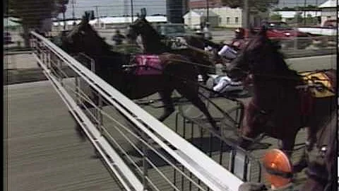 Cosmo Madness and Melvin's Dream - Winners of Late Closing Event at Dover Downs