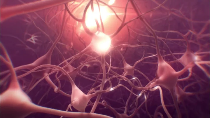 What Happens in Your Brain During a Seizure | WebMD - DayDayNews