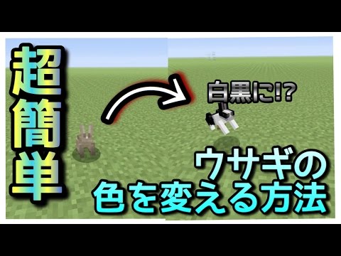 マインクラフト 超簡単 ウサギの色を変える方法 Youtube