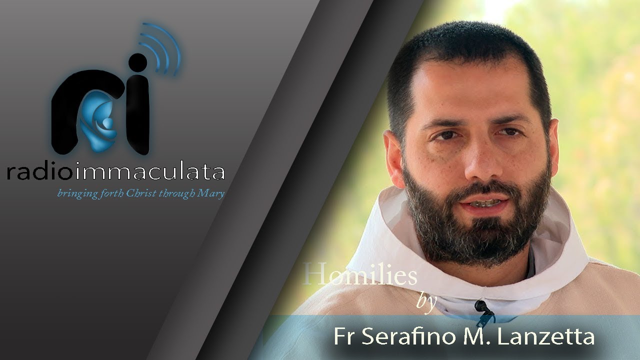 The Meaning of the Immaculate Conception