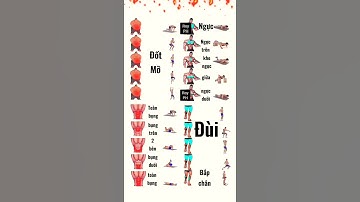 Bài Tập Đốt Mỡ Và Tăng Cơ Toàn Thân Hiệu Quả Tại Nhà - Tập Gym Tại Nhà