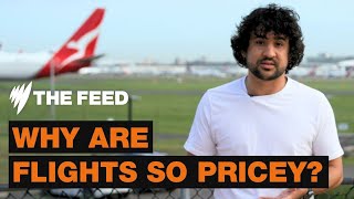 Why are flights so expensive? | Explainer | SBS The Feed