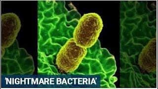 The CDC Is Warning About Resistant Nightmare Bacteria Spreading Through The US