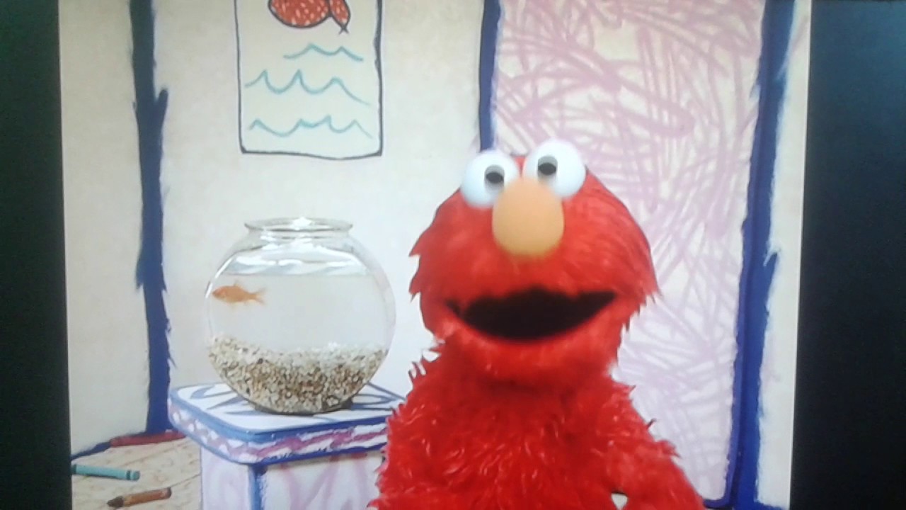 Elmo's World Reach For The Sky Intros - YouTube