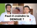 Dengue  comment sattrape cette maladie infectieuse et quels sont les symptmes 