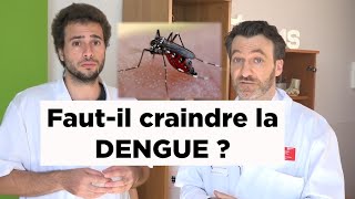 Dengue : Comment s'attrape cette maladie infectieuse et quels sont les symptômes ?