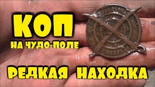 КОП НА ЧУДЕСНОМ ПОЛЕ И РЕДКАЯ НАХОДКА! В ПОИСКАХ ЗОЛОТА И КЛАДОВ!