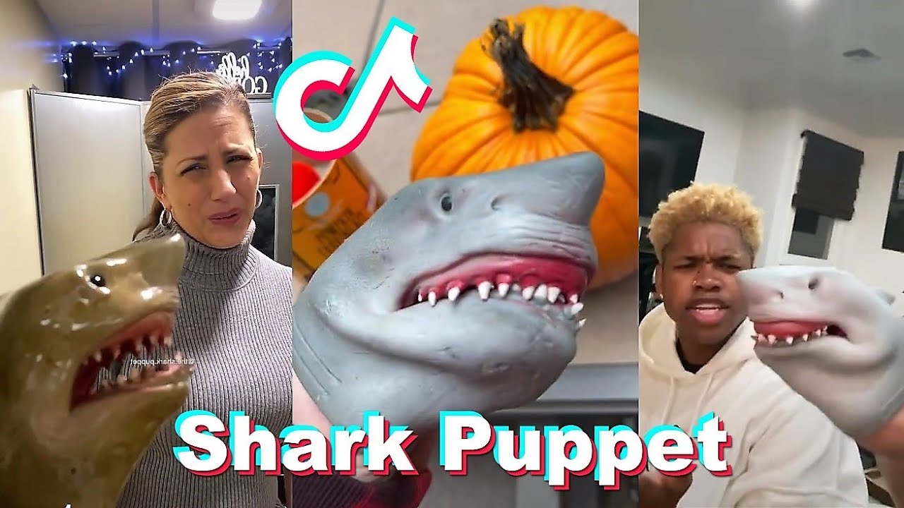 Funny Shark Puppet TikTok Videos 2021 Best Shark Puppet Tik Toks