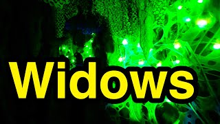 Widows - Knott's Scary Farm 2025 (Knotts Berry Farm Buena Park, CA)