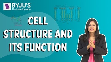 Cell Structure and its Function