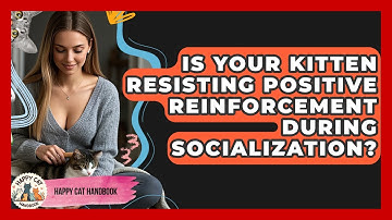 Is Your Kitten Resisting Positive Reinforcement During Socialization? - Happy Cat Handbook