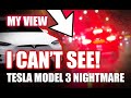 MY 4 MONTHS OF HELL WITH TESLA MODEL 3