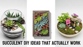 10 Dollar Tree Mini Succulent Gardens Under $5 (Beginner-Friendly!)