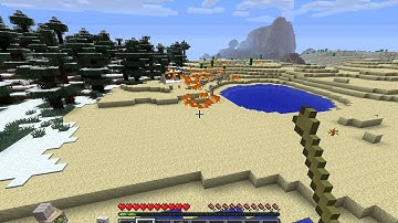 Minecraft Mod Review: Shape Shifter Mod