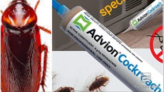 Kill cockroaches with ADVION cockroach gel || how to get rid of cockroach || Pakistani mom vlogs UAE