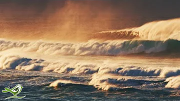 دع أفكارك تتجول مع أمواج المحيط وموسيقى البيانو الهادئة والطبيعة الجميلة