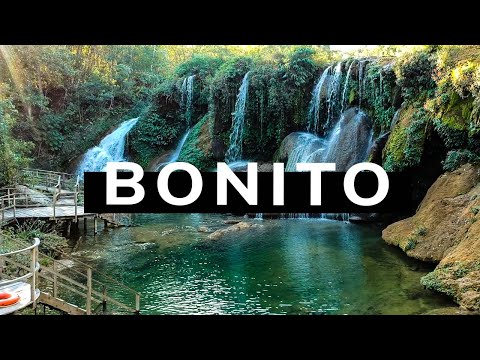 Vídeo: Las Mejores Cosas Para Hacer En Bonito, Brasil, Desde Snorkel Hasta Canopy Tours