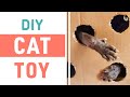 DIY CAT TOY | Sphynx Cat Play A Game