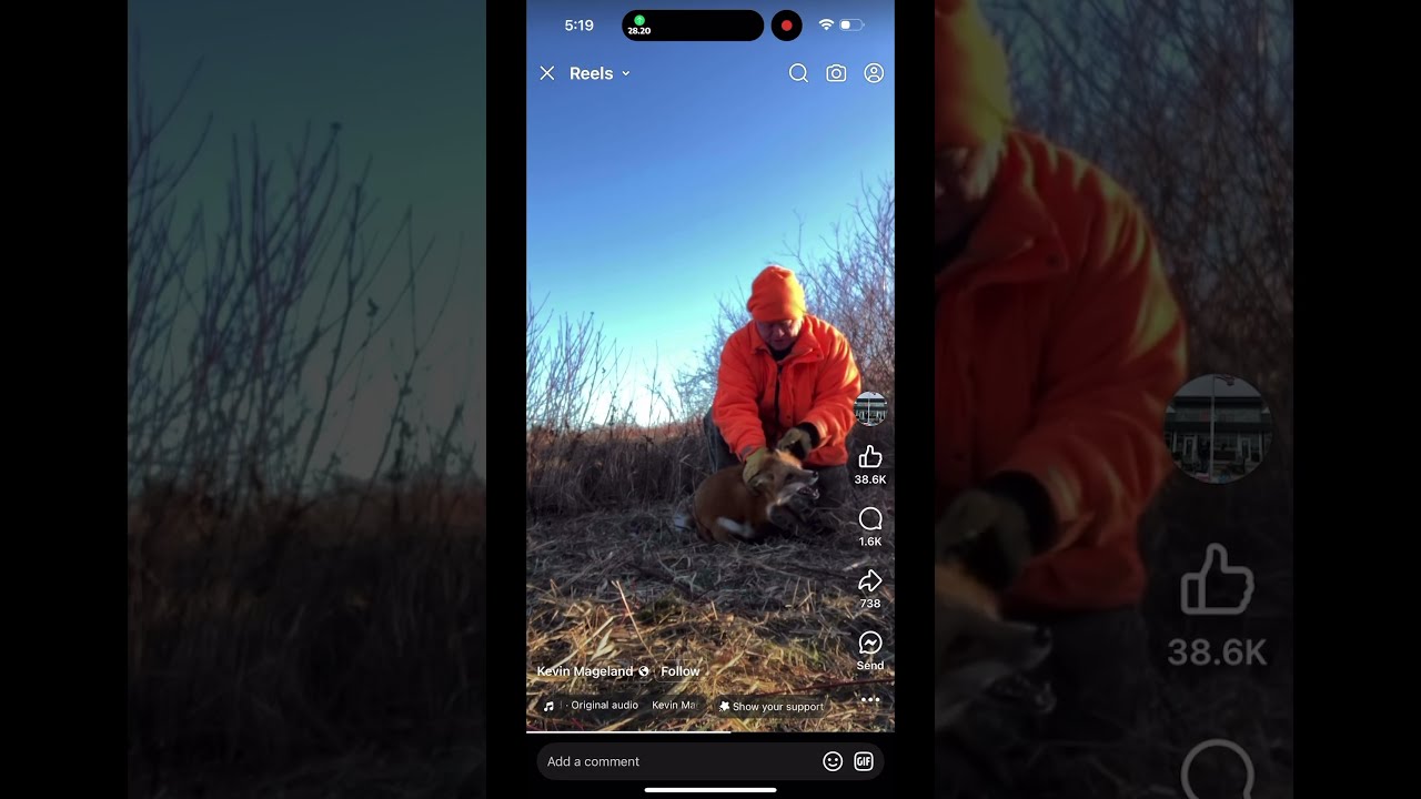 How To Safely Release A Caught In Redfox Trapper Trapping Trappers Fox Wildlife Animals