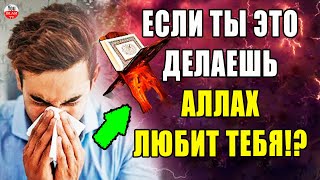 ПРОРОК СКАЗАЛ, КОГДА ЧЕЛОВЕК ЧИХАЕТ ЭТО ОЗНАЧАЕТ ЧТО АЛЛАХ ЛЮБИТ ЕГО!