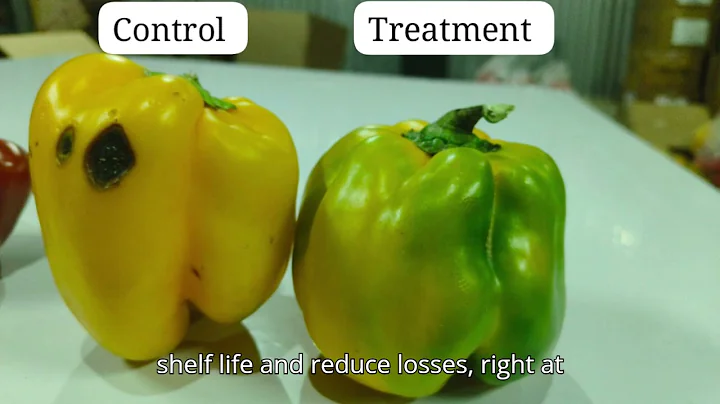 Revolutionizing Post-Harvest Cooling for Small Farmers | NOF Cooling