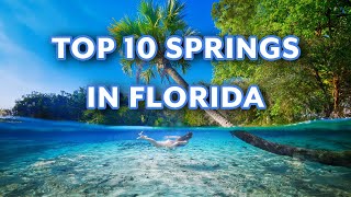 Top 10 Springs In Florida You Must Visit | Ultimate Florida Springs Bucket List