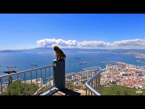 Vídeo: Como viajar de Málaga para Gibr altar