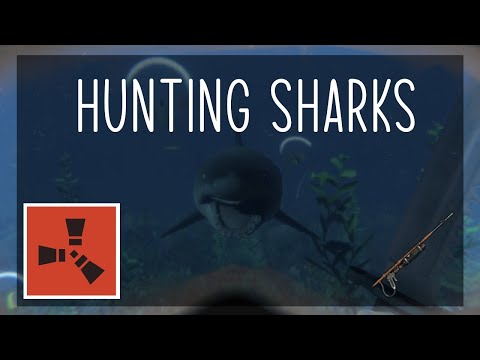 How to EASILY kill sharks | Rust
