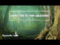 Hypnosis For Connecting To Your Ancestors, Lost Loved Ones and the Afterlife (Forest Of Souls)