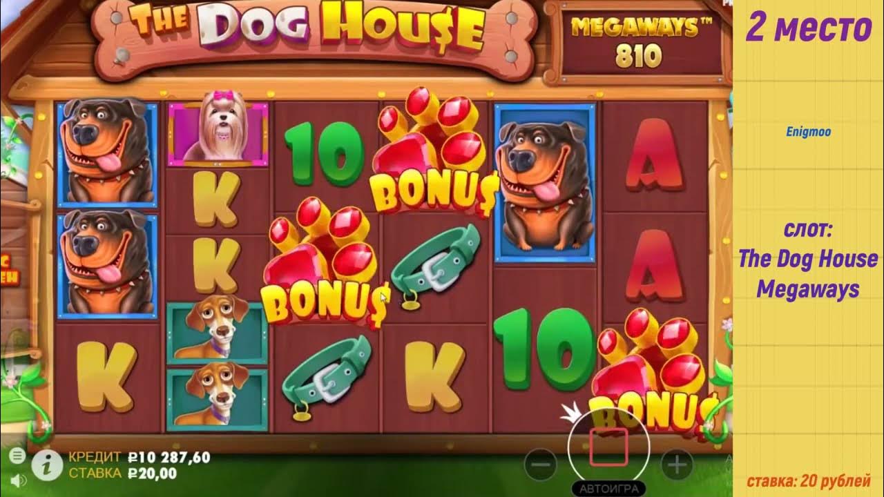 The dog house занос. 1win занос. Дог хаус слот. Дог хаус слот. Dog house megaways.