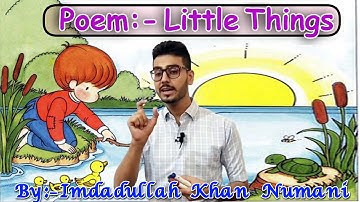 Poem Little Things | Word by Word Translation And explanation | English X | BSEK | IUK CIRCLE