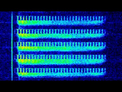 UVB-76/The Buzzer (4625Khz) LIVE