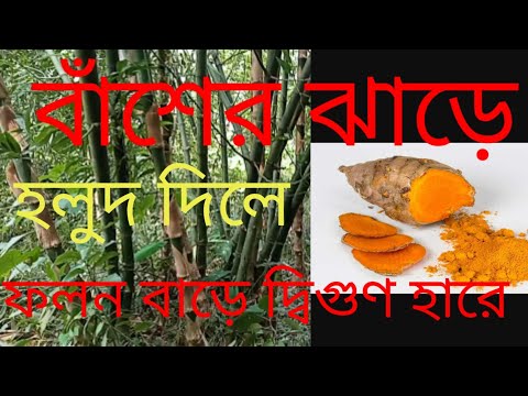 ভিডিও: ঘাস থেকে মুক্তি পাওয়ার 3 টি উপায়